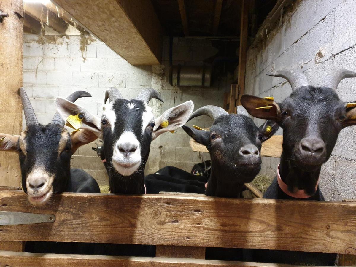 Chambre D'Hotes A La Ferme Beaune  ภายนอก รูปภาพ